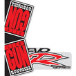 Load image into Gallery viewer, Big Gun EVO R Muffler Wrap Decal