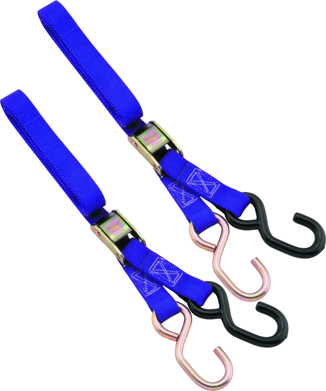 BikeMaster 1in Tiedown - Purple