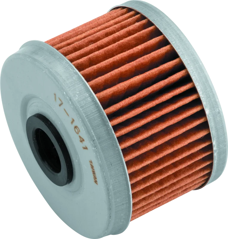 BikeMaster Honda BM-113 Oil Filter - Black