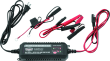 Load image into Gallery viewer, BikeMaster Intelligent Battery Charger