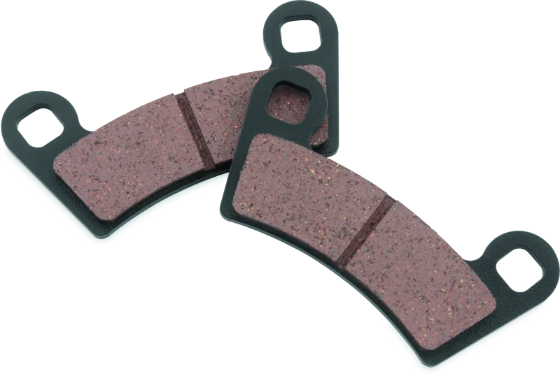 BikeMaster Polaris Brake Pads