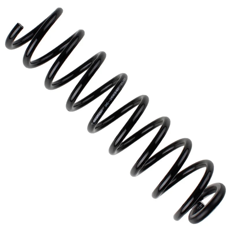 Bilstein 03-09 Mercedes-Benz E320 B3 OE Replacement Coil Spring - Front - Back View