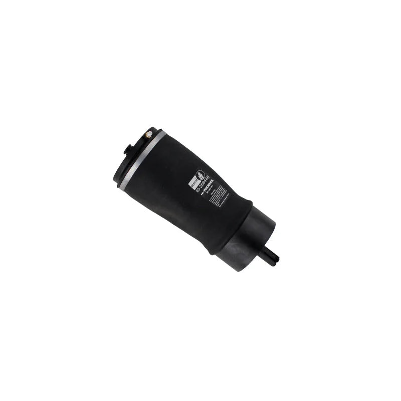 Bilstein 17-20 Land Rover Discovery B3 OE Replacement Air Suspension Spring - Rear - Main Product View
