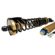 Load image into Gallery viewer, Bilstein 21-22 Polaris RZR Turbo S Black Hawk Powersports Shock &amp; Coil Spring Assembly - Rear - Additional View 6
