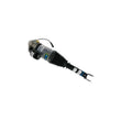 Load image into Gallery viewer, Bilstein B4 OE Replacement 04-10 Audi A8 Quattro / 04-06 VW Phaeton Rear Left Air Suspension Spring - Side View