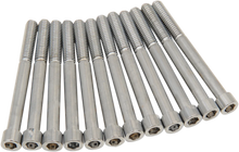 Load image into Gallery viewer, Bolt Kit - Crankcase - Chrome - Smooth - M8 DragSpecialties MK778S - Main Product View