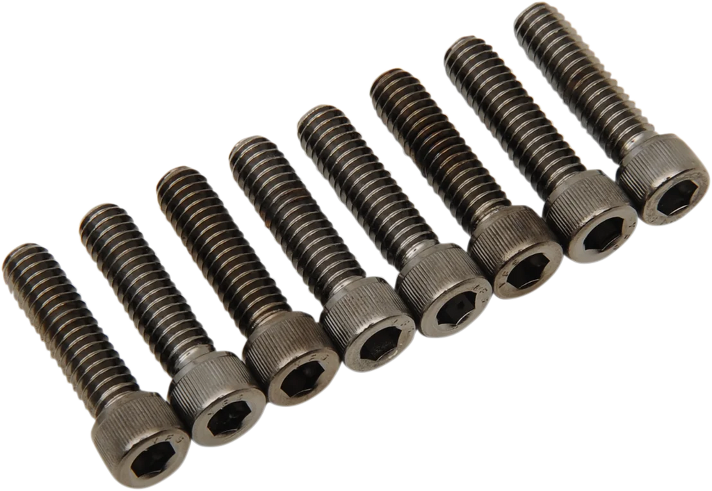 Bolt Kit - Lifter - Black/Chrome - Knurled - M8 DragSpecialties MK776BK - Main Product View