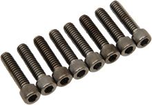 Load image into Gallery viewer, Bolt Kit - Lifter - Black/Chrome - Knurled - M8 DragSpecialties MK776BK - Main Product View