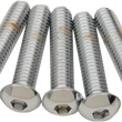 Load image into Gallery viewer, Bolts - Button Head/Replacement - 5/16"-18 x 2" - 5 Pack DragSpecialties MPB828 - Main Product View