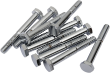 Load image into Gallery viewer, Bolts - Hex-Head - Chrome - 1/4"-20 x 2" DragSpecialties MPB120 - Main Product View