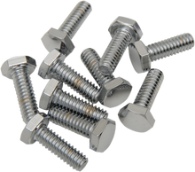 Load image into Gallery viewer, Bolts - Hex-Head - Chrome - 1/4"-20 x 2" DragSpecialties MPB120 - Detail View