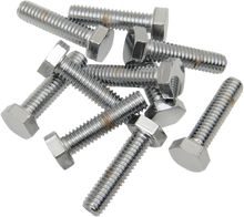 Load image into Gallery viewer, Bolts - Hex-Head - Chrome - 5/16"-18 x 1" DragSpecialties MPB125 - Main Product View