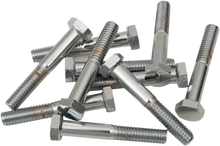 Load image into Gallery viewer, Bolts - Hex-Head - Chrome - 5/16"-18 x 2-1/4" DragSpecialties MPB130 - Main Product View