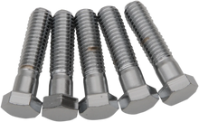 Load image into Gallery viewer, Bolts - Hex-Head - Chrome - 7/16"-14 x 1-3/4" DragSpecialties MPB720 - Main Product View