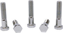 Load image into Gallery viewer, Bolts - Hex-Head - Chrome - 7/16"-14 x 2" DragSpecialties MPB670 - Main Product View