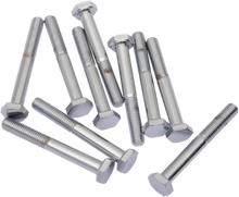 Load image into Gallery viewer, Bolts - Hex Head/Replacement - Fine Thread - 1/4"-28 x 2-1/4" - 10 Pack DragSpecialties MPB145 - Main Product View