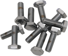 Load image into Gallery viewer, Bolts - Hex Head/Replacement - Fine Thread - 1/4"-28 x 5/8" - 10 Pack DragSpecialties MPB137 - Main Product View