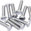 Load image into Gallery viewer, Bolts - Hex Head/Replacement - Fine Thread - 5/16"-24 x 1" - 10 Pack DragSpecialties MPB149 - Main Product View