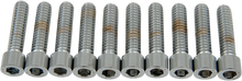 Load image into Gallery viewer, Bolts - Socket-Head - Knurled - 1/4-20 x 1" DragSpecialties MPB181 - Back View