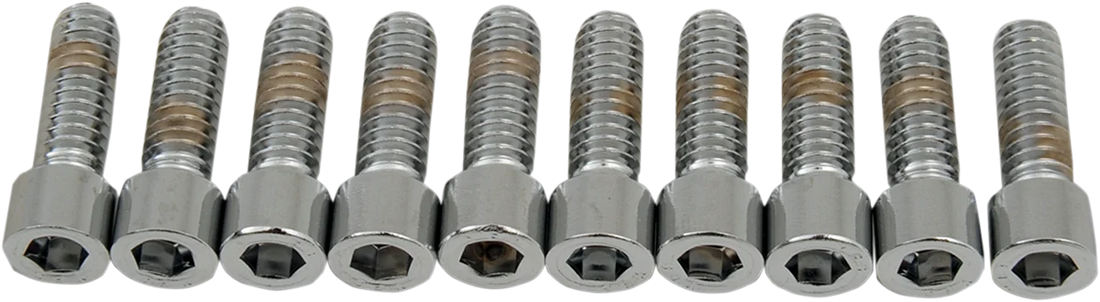 Bolts - Socket-Head - Knurled - 1/4-20 x 3/4" DragSpecialties MPB179 - Back View