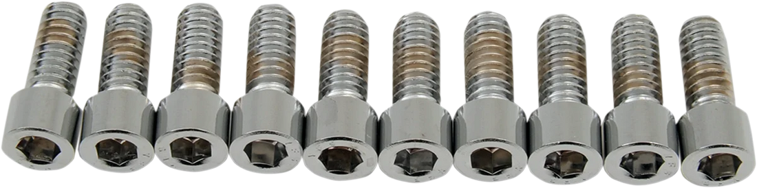 Bolts - Socket-Head - Knurled - 1/4-20 x 5/8" DragSpecialties MPB178 - Back View