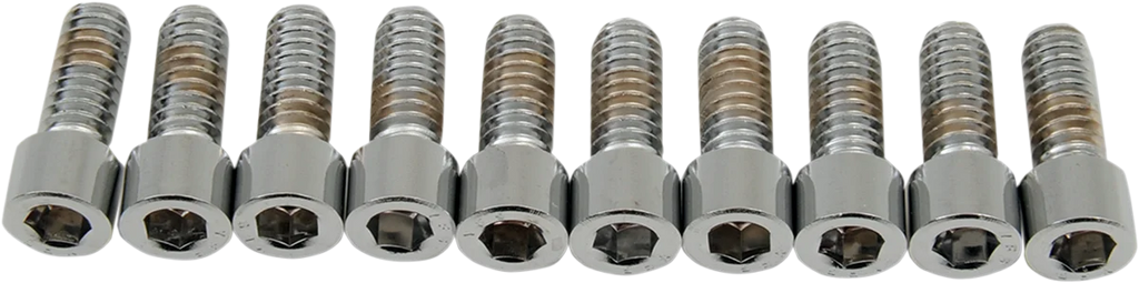 Bolts - Socket-Head - Knurled - 1/4-20 x 5/8" DragSpecialties MPB178 - Back View