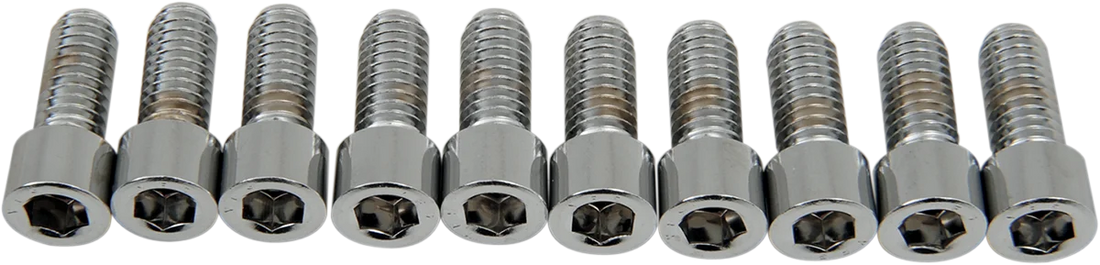 Bolts - Socket-Head - Knurled - 5/16-18 x 3/4" DragSpecialties MPB215 - Back View