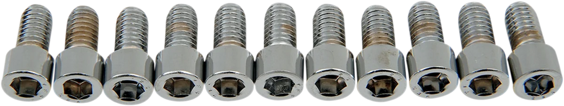 Bolts - Socket-Head - Knurled - 5/16-18 x 5/8" DragSpecialties MPB214 - Back View