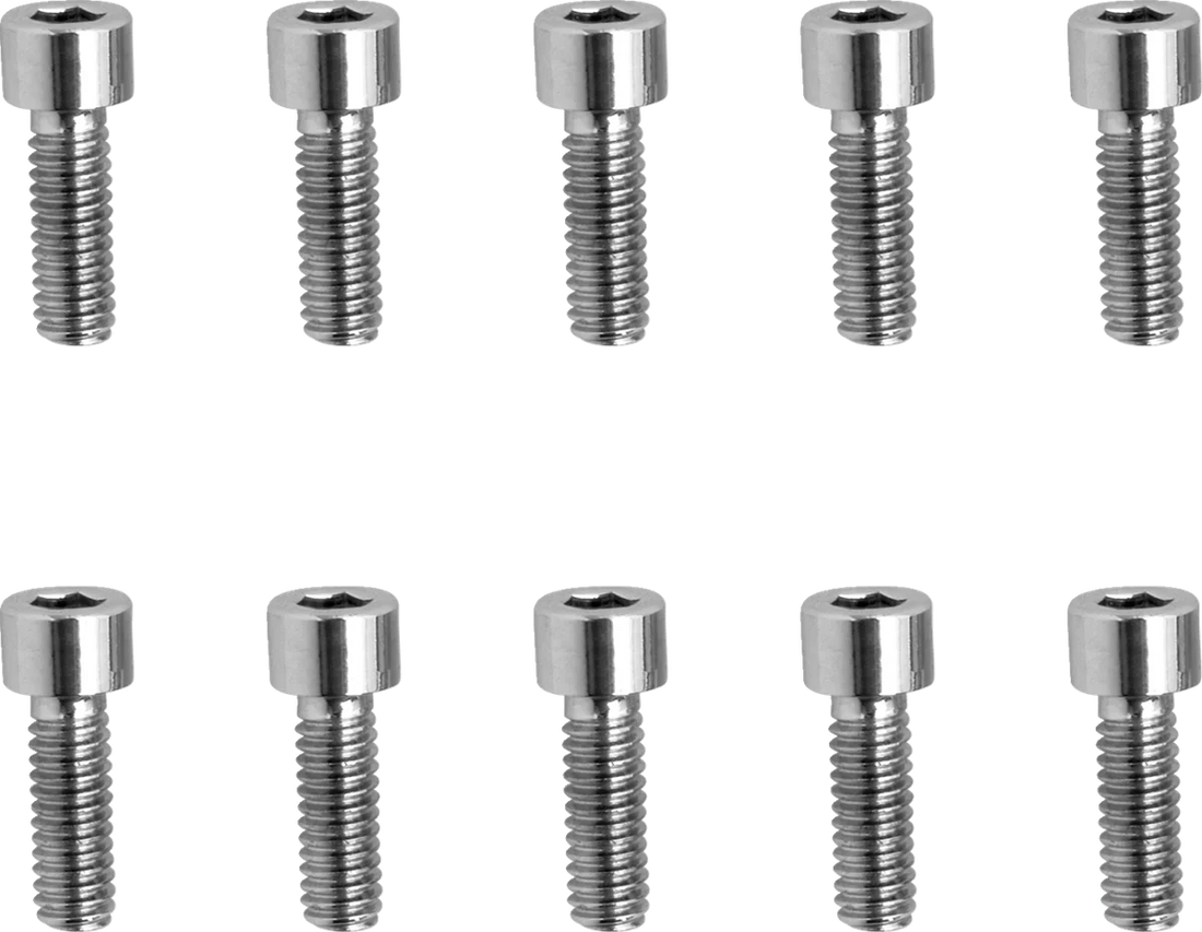 Bolts - Socket-Head - Replacement - Knurled/Coarse Thread - #8-32 x 1/2" - 10 Pack DragSpecialties MPB189 - Installation View
