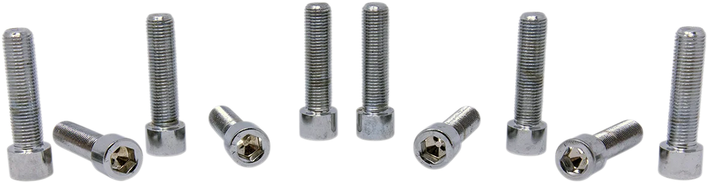 Bolts - Socket-Head/Replacement - Knurled/Fine Thread - 3/8"-24 x 1-1/2" - 10 Pack DragSpecialties MPB252 - Installation View