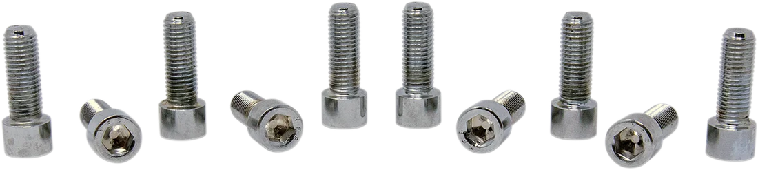 Bolts - Socket-Head/Replacement - Knurled/Fine Thread - 5/16"-24 x 7/8" - 10 Pack DragSpecialties MPB227 - Installation View