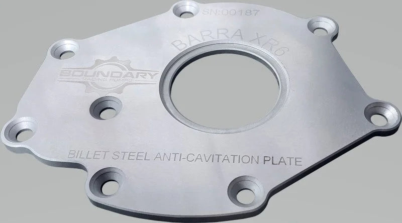 Boundary 12-16 Ford Barra XR6 Billet Back Plate - Side View