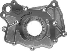 Load image into Gallery viewer, Boundary 2020+ Ford Mustang GT500 Coyote V8 Billet Back Plate - Side View