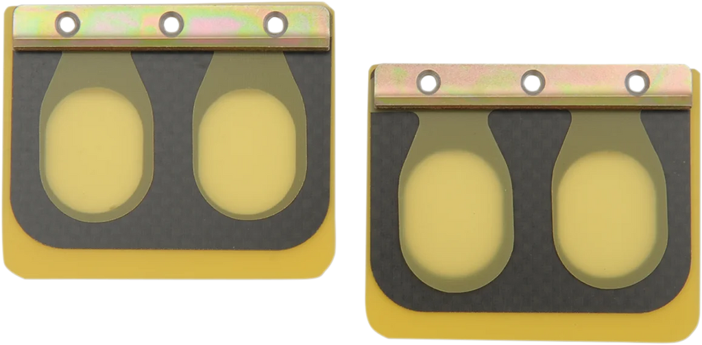 Boyesen Replacement Pro Series Reed Set - RAD-02I - Honda PSR-002 - Main Product View