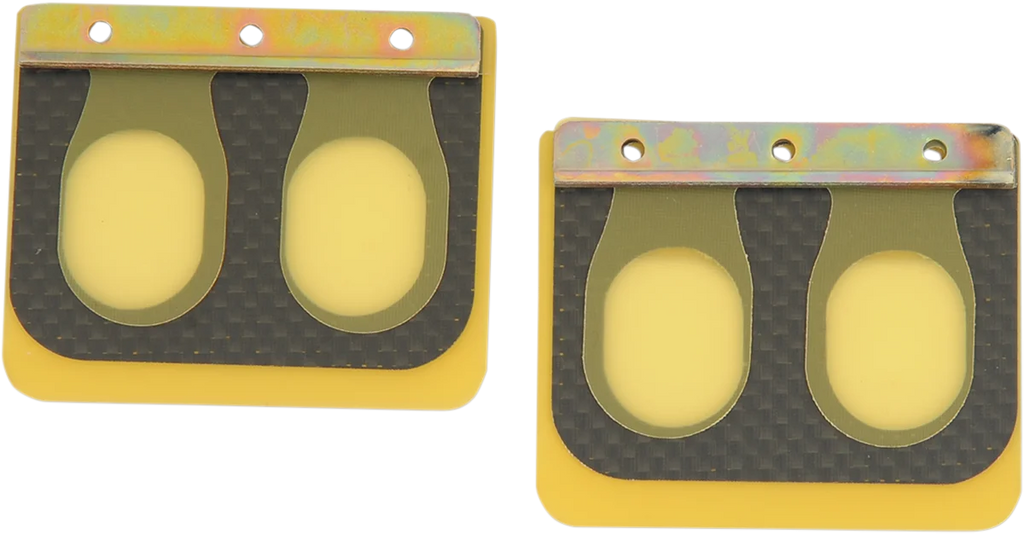 Boyesen Replacement Pro Series Reed Set - RAD02G - Honda PSR-183 - Main Product View