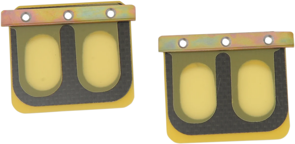 Boyesen Replacement Pro Series Reed Set - RAD41C - KTM PSR-195 - Main Product View