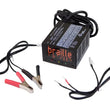 Load image into Gallery viewer, Braille Battery Electronic Batt Charger 2 amp 1232