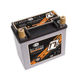 Load image into Gallery viewer, Braille Battery Racing Battery 17lbs 1191 PCA 6.8x4.0x6.1 B2317