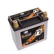 Load image into Gallery viewer, Braille Battery Racing Battery 17lbs 1191 PCA 6.8x4.0x6.1 B2317RP