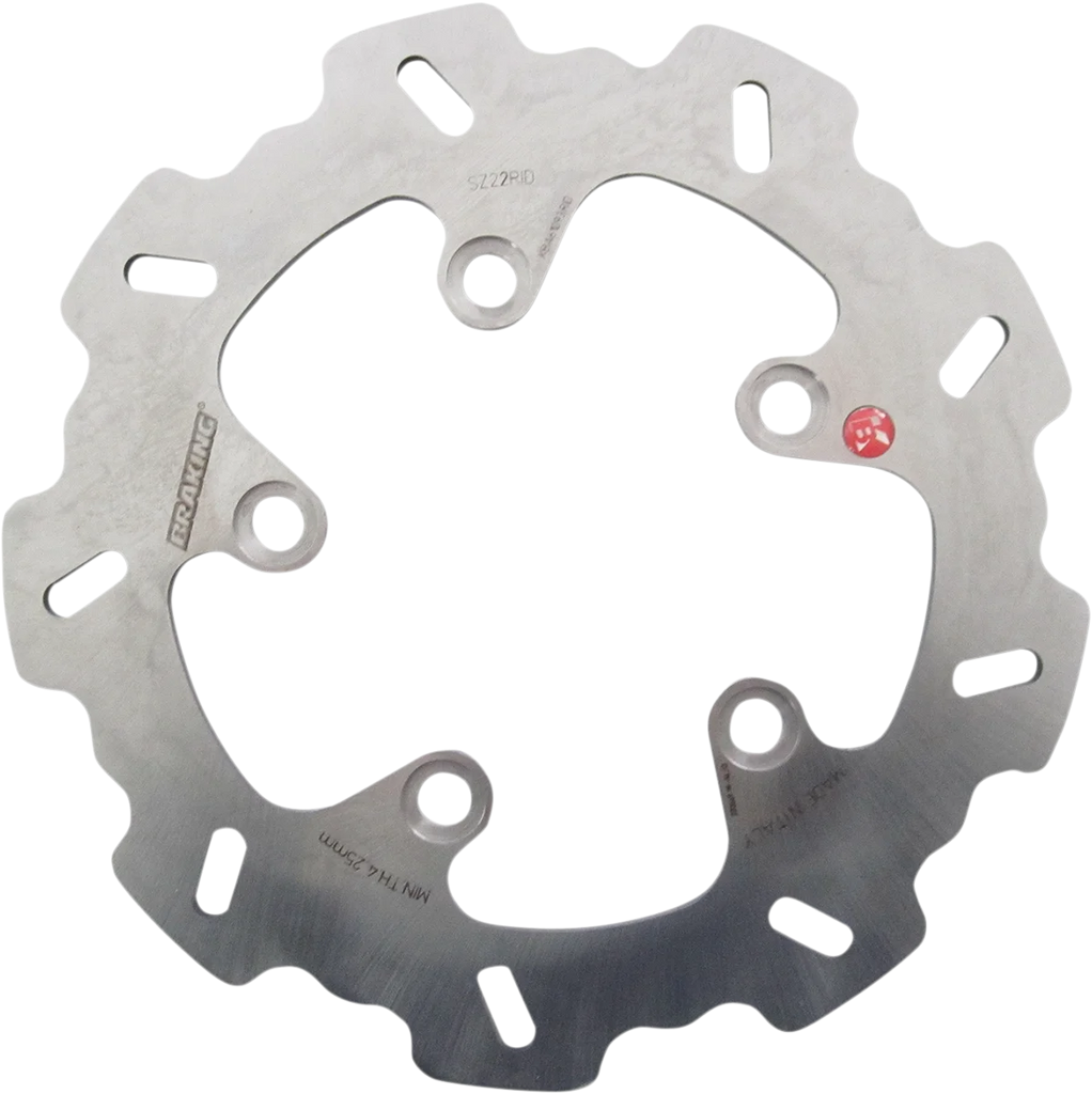 BrakingBrake Rotor - Rear - SZ22RIDSZ22RID - Main Product View