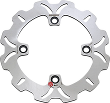 Load image into Gallery viewer, BrakingBrake Rotor - TRX - HO40RIDHO40RID - Side View