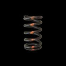 Load image into Gallery viewer, Brian Crower BRZ/FRS FA20 Single Valve Springs