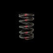 Load image into Gallery viewer, Brian Crower Honda H22/Nissan SR20VE Dual Valve Spring - Single