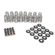 Load image into Gallery viewer, Brian Tooley Racing Beehive Valve Spring Kit .625 BTR-SK018