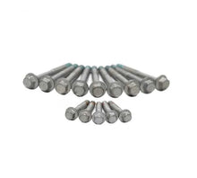Load image into Gallery viewer, Brian Tooley Racing LS Head Bolt Kit - 04-Up (1-Head) BTR00568