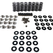 Load image into Gallery viewer, Brian Tooley Racing Platinum Dual Spring Kit .660in Lift SK007/0560/BB fits Gen V LT1