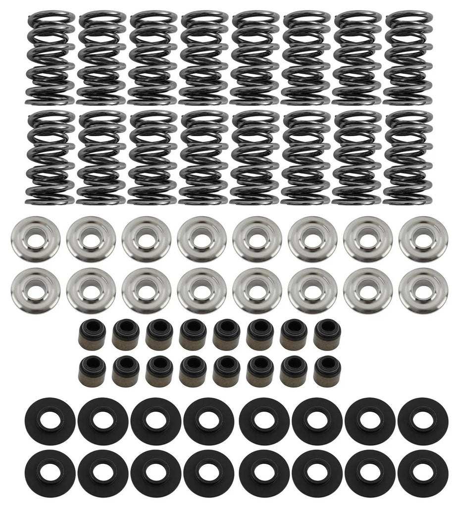 Brian Tooley Racing Platinum Dual Spring Kit Steel Retainer SK001/S/0560/BB fits LS