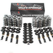 Load image into Gallery viewer, Brian Tooley Racing Platinum Dual Springs .660in Lift SK001/S/0545/BB fits LS