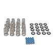 Load image into Gallery viewer, Brian Tooley Racing VVT Lift Spring .650in SK017 fits 2009-up Gen 3 HEMI
