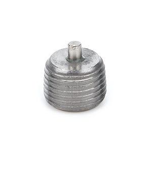 Brinn Transmission Magnetic Plug 71059